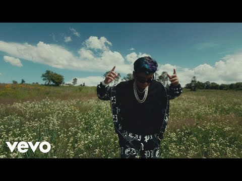 Picus, MC Davo - Morro Dolido (Tony / Performance)