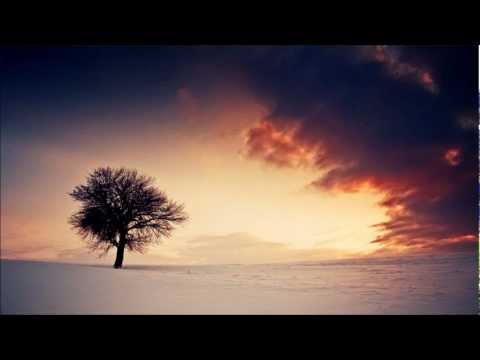 Haemon - Carrot Juice