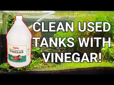 How To Clean Used Aquariums With Vinegar - THE ULTIMATE AQUARIUM CLEANER!