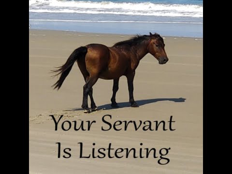 The Importance Of Your Testimony (Ep 2)