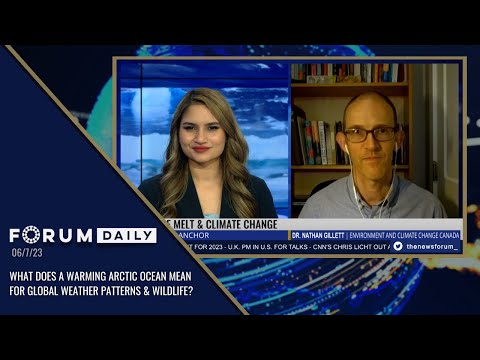 What Does a Warming Arctic Ocean Mean for Global Weather Patterns & Wildlife?