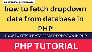 how to fetch dropdown data from database in PHP || How to fetch data from dropdown in PHP