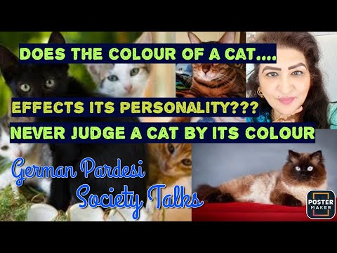 Does colour of Cat influence its Attitude?|| Are Black Cats Jinxed?||Don't judge a cat by its colour