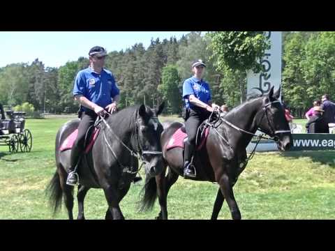Ohlédnutí: 27. 5. 2017 - I. kvalifikace na 127. Velkou pardubickou s Českou pojišťovnou