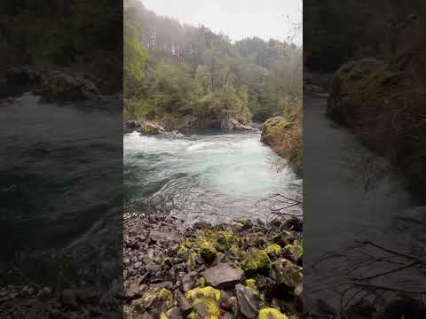 🌿 Río Fuy, Neltume – Región de Los Ríos, Chile 🇨🇱