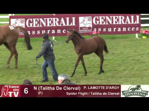 Show AQPS 2015 : lot 6 - N - F15 - Spider Flight & Talitha de Clerval