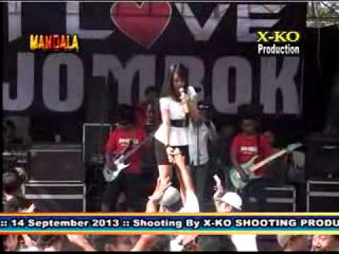 WIL   ALVI DAMAYANTI