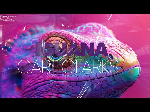 Carl Clarks - Iguana