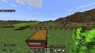 眠気を催すようなマイクラ