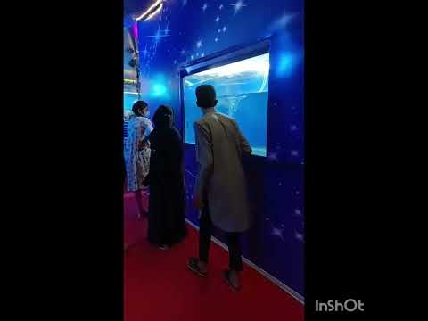 world 🌎 largest fish #arapima fish# 200 kg with 3mts in length # warangal