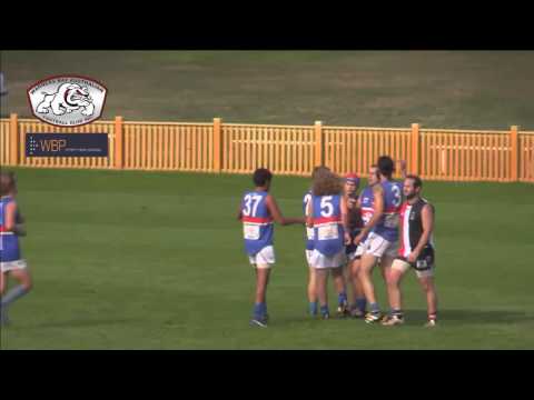 2016 BDAFL Round 7 Highlights - Terrigal Avoca Panthers v Warners Bay Bulldogs