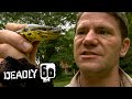 Anaconda Almost Crushes Steve S Hand Deadly 60 BBC Earth Kids