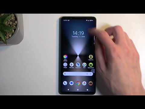 How to Set Up the Do Not Disturb Mode in SONY Xperia 1 VI Phone