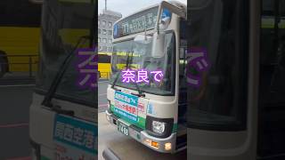 その日の思い付き旅も6日目。奈良を満喫しました。