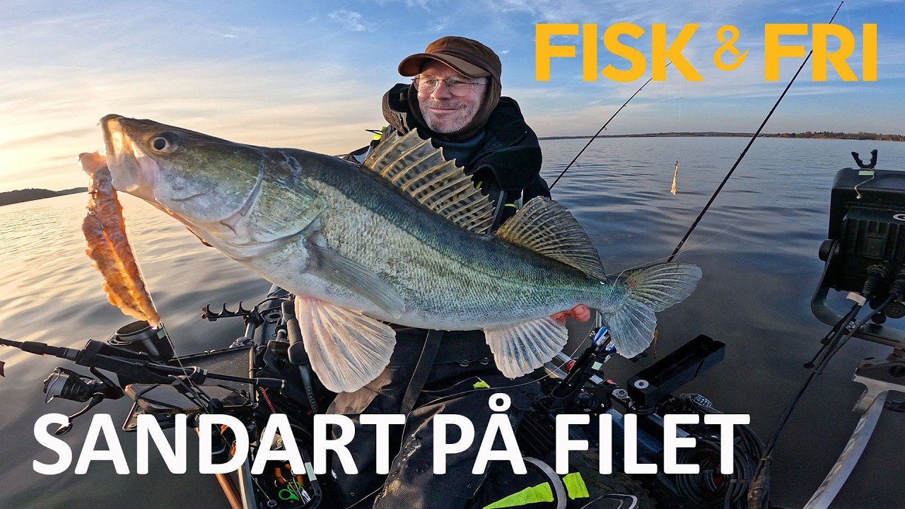 NY VIDEO: SANDART PÅ FILET, FISKESTRIMLER OG MOVING HOOK RIGS
