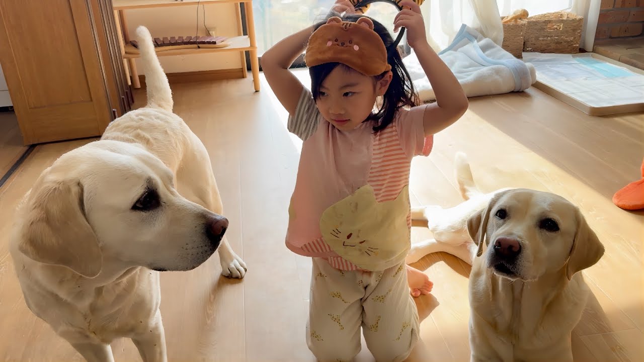節分豆まき回収犬🐕🐕節分初体験の三姉妹