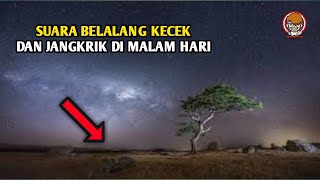 Download lagu Suara Belalang Kecek Dan Jangkrik Di Malam Hari || Suasana DI Persawahan Desa Ngujung #PejuangCOD mp3