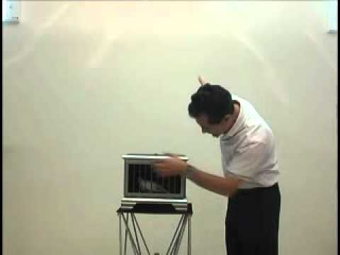 Automatic Dove To Rabbit - Tora