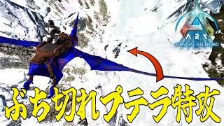 ポンコツソロレイダーがゆく!!#4「レイドしてたら他トライブ介入でぶち切れた件」【ark asa pvp】