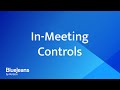 In-Meeting Controls | BlueJeans Meetings