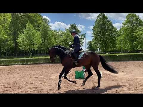 Belantis II im Training (Mai 2021)