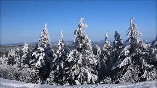 Acalmando seu   corao.   (Para meditar)