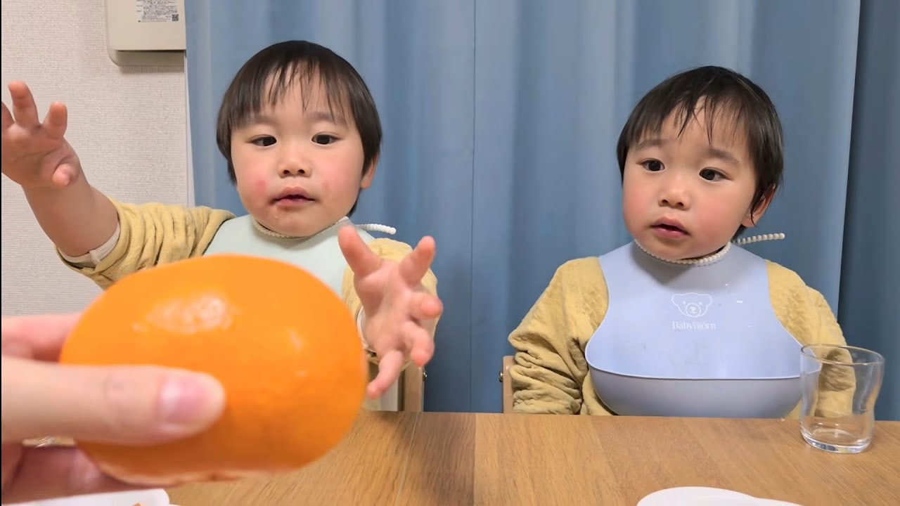 せとか🍊が届きました！眠たくても美味しいものには目がない双子【2歳7ヶ月】