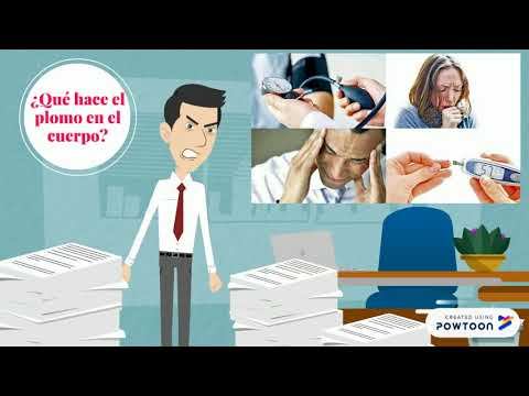 PLOMO - TÓXICO EN DOMICILIO