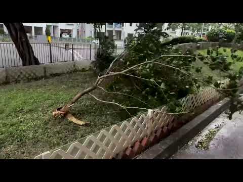 Flights canceled as Typhoon Wipha sweeps Hong Kong | REUTERS