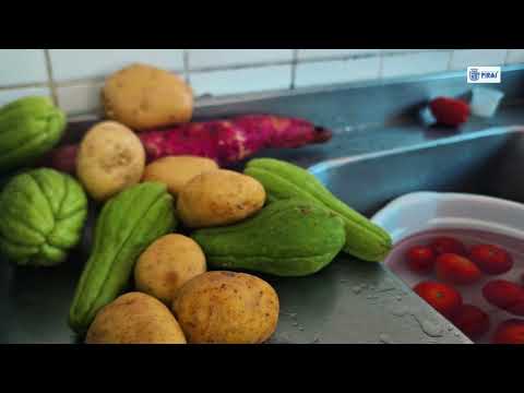 Prévia do vídeo MUNICIPIO DE PIRAI