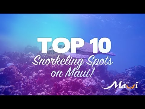 TOP 10 Snorkeling Spots on Maui - Pride of Maui