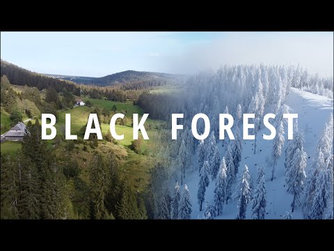 BLACK FOREST // four seasons // cinematic drone footage 4K