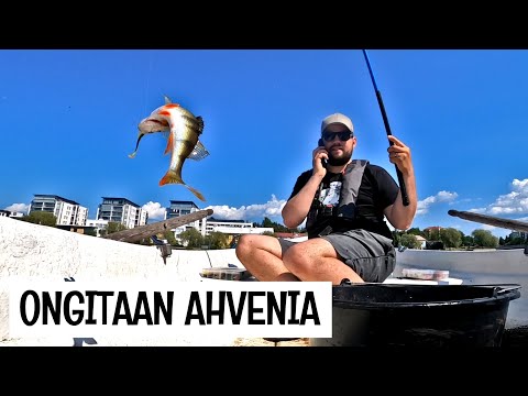 ONGITAAN JA JIGATAAN AHVENIA OULUJOKISUULLA - HARTAANSELKÄ - MERIKOSKI - OULUN KALAPAIKAT