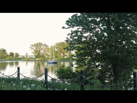 Best Nightingale Song - 3 Hours Realtime Nightingale Singing