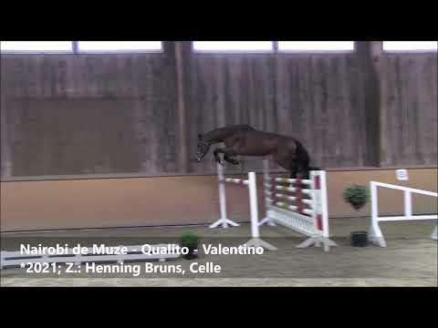 Nairobi de Muze' Söhne beim Freispringen - Februar 2024