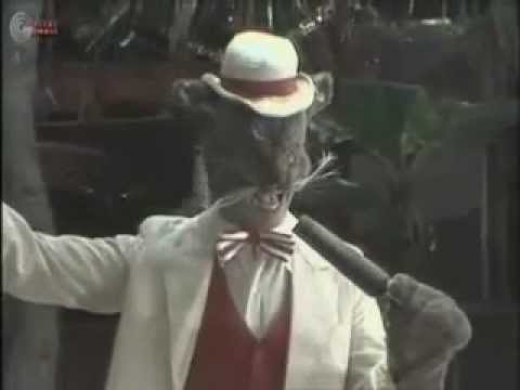 מועדון החתול שמיל - סוכות 1983