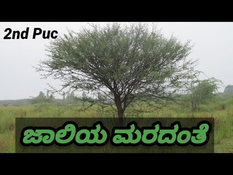 Jaliya maradanthe kannada 2nd pu poem summary /kannada peom of 2nd puc
