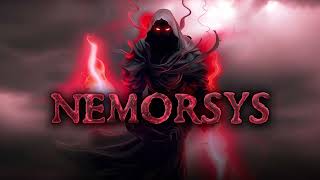 VideoImage1 Nemorsys