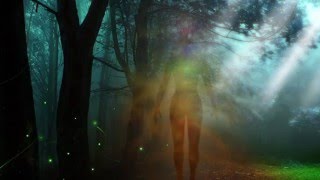 Implant and Entity Clearing