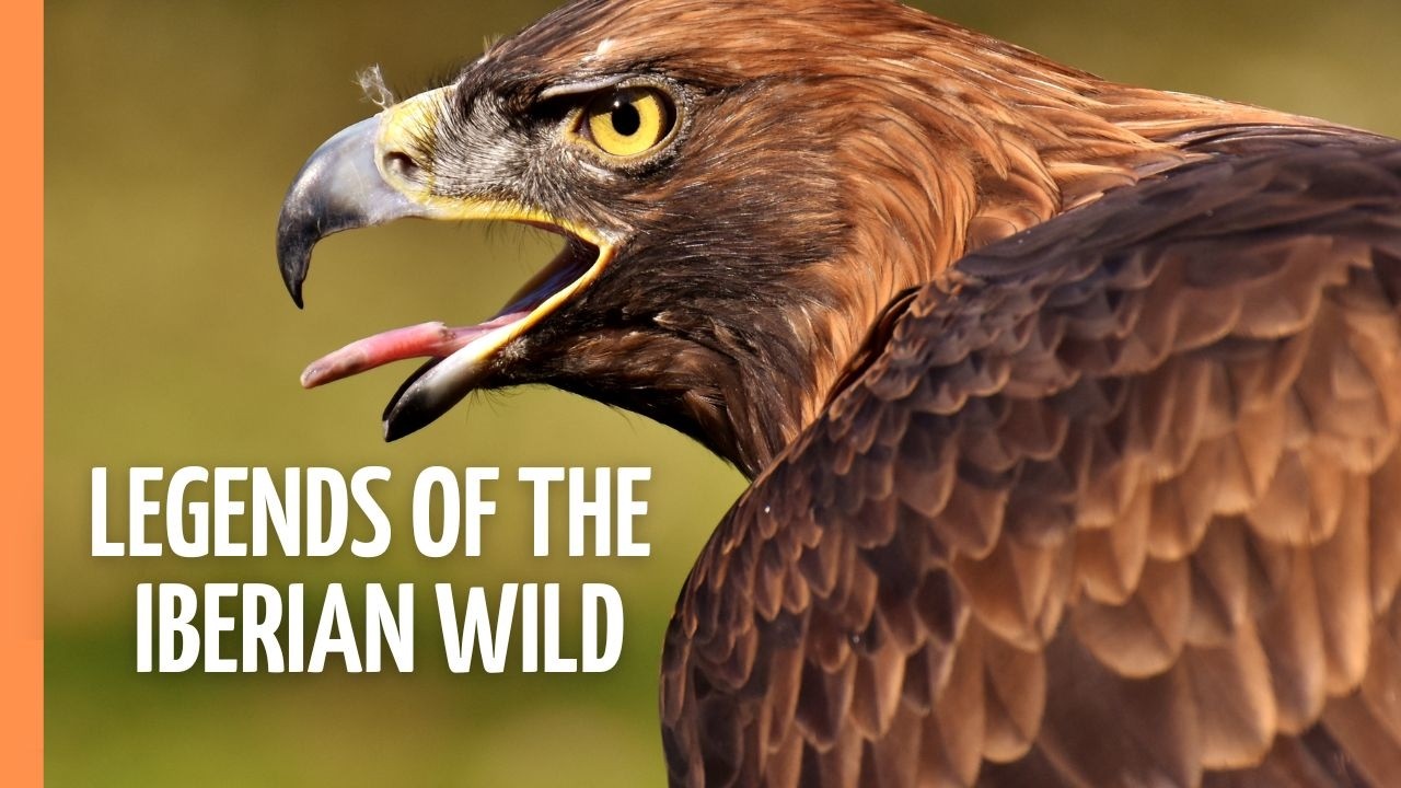 Icons of the Iberian Wilderness: Nature Meets Myth | Full Episode