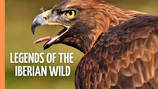 Icons of the Iberian Wilderness: Nature Meets Myth | Full Episode