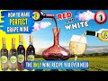How To Make Wine From Grapes - The Only Wine Recipe You Will Ever Need - Fermentation - PART 1