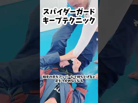 スパイダーガードキープテクニック#jiujitsu #bjj #スパイダーガード
