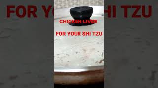 SHI TZU LUNCH TIME CHICKEN LIVER RECIPE #shitzu #animals #comment#like #comment  #subscribed #dog