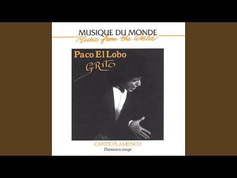 download lagu mp3 mp4 Musique Du Monde Grito Cante Flamenco, download mp3 Musique Du Monde Grito Cante Flamenco free download mp3, download mp3 Musique Du Monde Grito Cante Flamenco