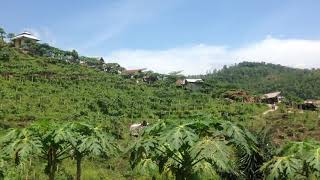 Download lagu Story wa & ig bukit  | pemandangan pegunungan mp3