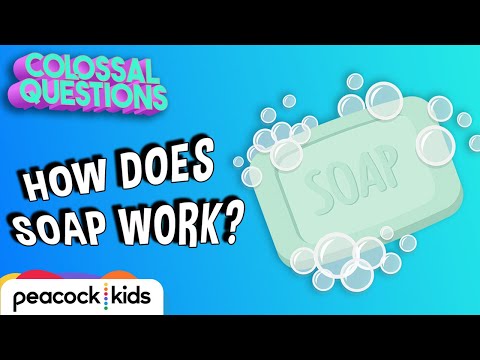 How Does Soap Work? | COLOSSAL QUESTIONS