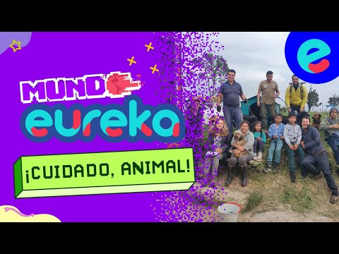 ¡Cuidado, animal! | Mundo eureka | Capítulo 1