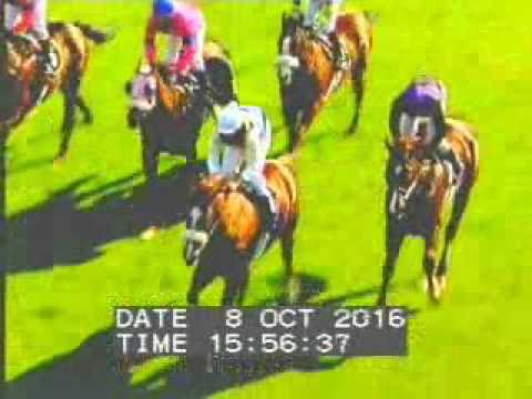 Borrowdale 08 October 2016, Race 7