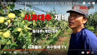 [대추재배]